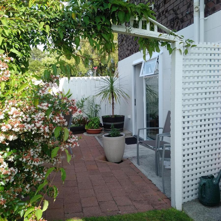 Villa Large Studio With Private Patio, Sky Tv & Wifi à Mount Maunganui Extérieur photo